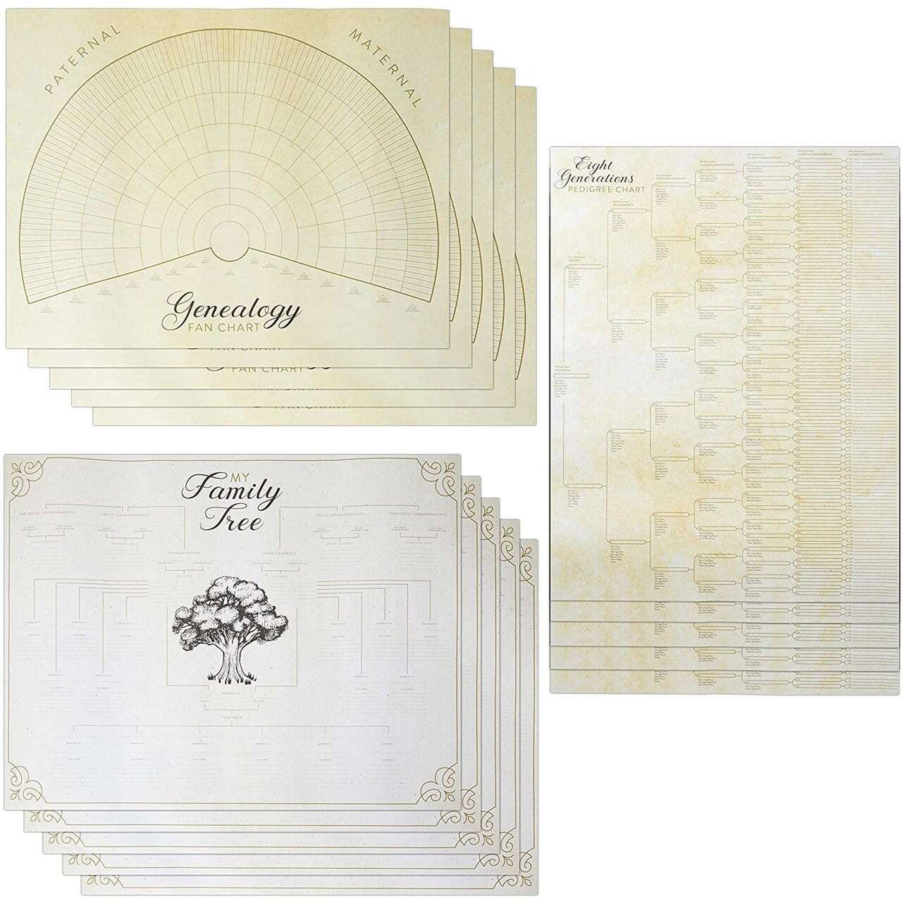 Blank Family Tree Genealogy Charts And Forms 17 X 22 Inches 15 Pack Blank family tree genealogy charts and forms 17 x 22 inches 15 pack